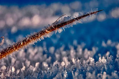 Winter photography Ideas For Nature Photographers - Apogee Photo Magazine