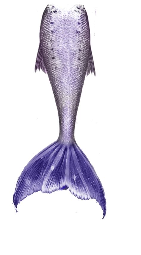 Mermaid Tail PNG Transparent Images