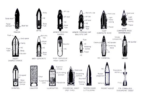 Rifle Ammunition Types