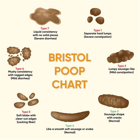 Things Your Poop Can Tell You About Your Health Manhattan , 59% OFF