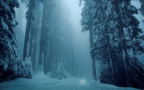 Foggy Winter Night Wallpapers - Wallpaper Cave