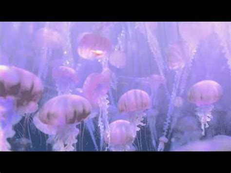 Finding Nemo Jellyfish Scene