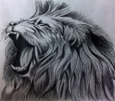 Roaring Lion Drawing at GetDrawings | Free download