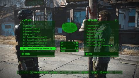 Better Item Names at Fallout 4 Nexus - Mods and community