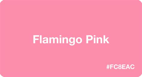 Flamingo Pink Color