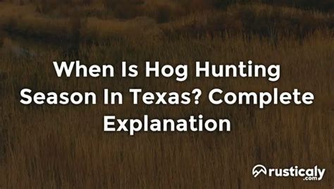 When Is Hog Hunting Season In Texas? (Important Facts)