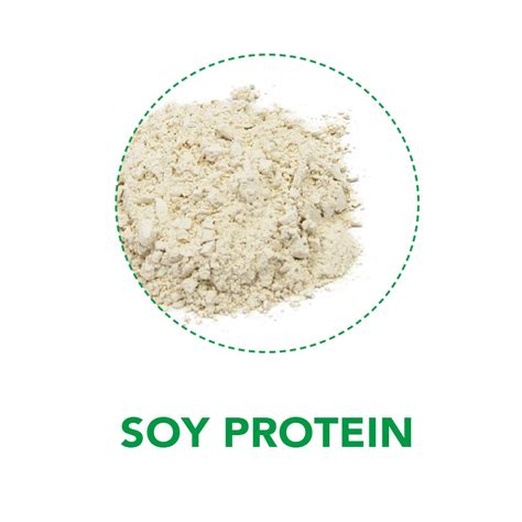 SOY PROTEIN POWDER 90% (Isolate) | Z-Company | Natural Health Food Ingredients Wholesaler