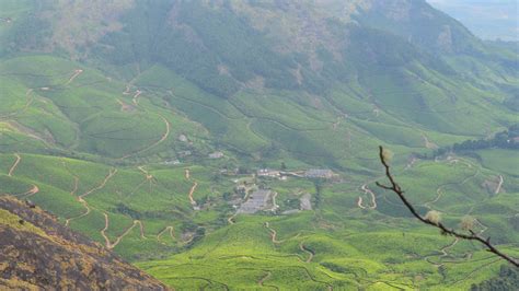 Munnar Trekking-Top 10 Experiences To Unleash Your Adventurous Spirit In Munnar – Iris Holidays