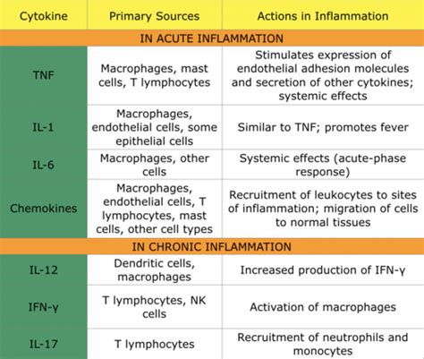 Cytokines and Chemokines Flashcards | Quizlet