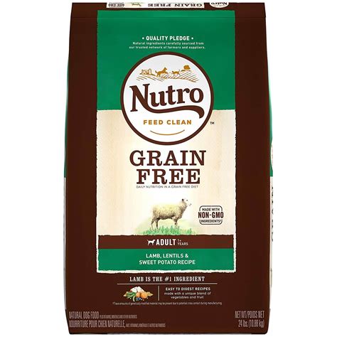 The 9 Best Grain-Free Dog Foods