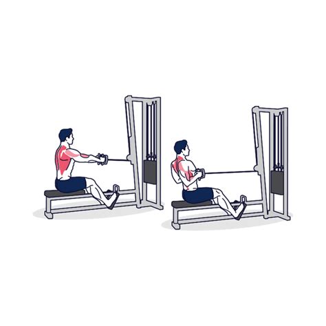 How to do Seated Cable Row with Proper Form? – Simply Fitness