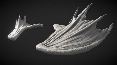 Dragon Wings - Download Free 3D model by Alexandria Maharaj (@Thedovahtamer) [d365246] - Sketchfab