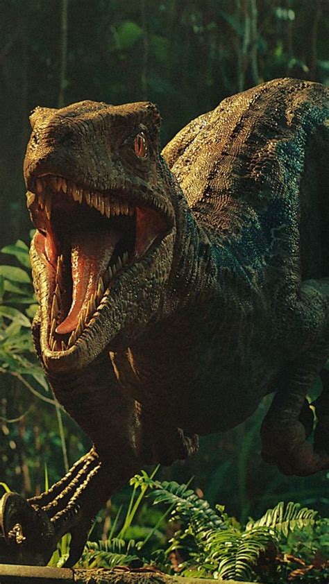 12 Velociraptor Facts For Kids 2023 [Must Read]