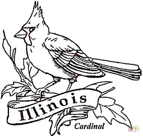 Cardinal Bird Of Illinois coloring page | Free Printable Coloring Pages