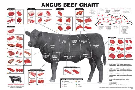 How Many Pounds In A Side Of Beef?