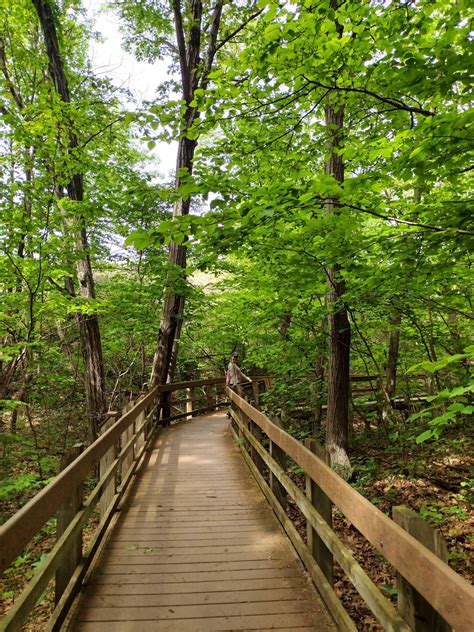 5 Incredible Indiana Dunes Trails