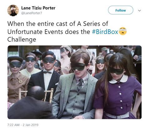 Best Bird Box Memes