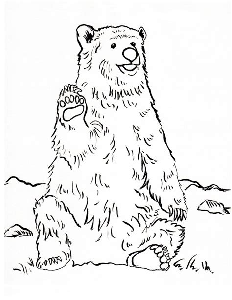 Grizzly Bear Coloring Page - Samantha Bell