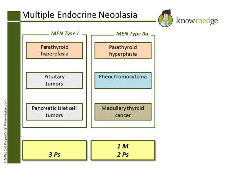 Board Review: Multiple Endocrine Neoplasia (MEN) syndromes : USMLE / Internal Medicine ABIM ...