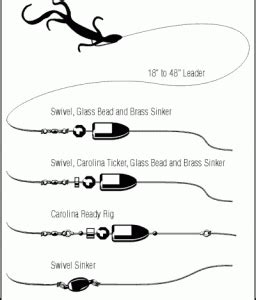 How to Setup a Carolina Rig | Set up Your Line for Bass Fishing