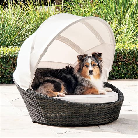 Luxurious Outdoor Dog Bed With Canopy | The Green Head