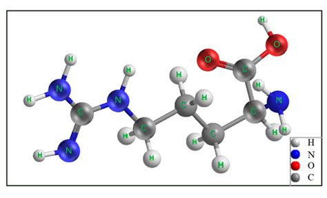 Molecular structure of L-arginine. | Download Scientific Diagram