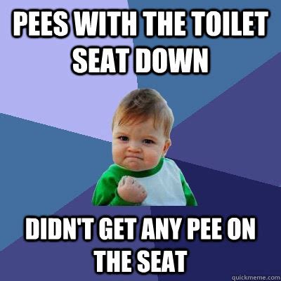 Toilet Seat Up Or Down Meme - the most toilet