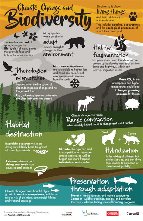 What Climate Change Means For Earth’s Animals | Daily Infographic