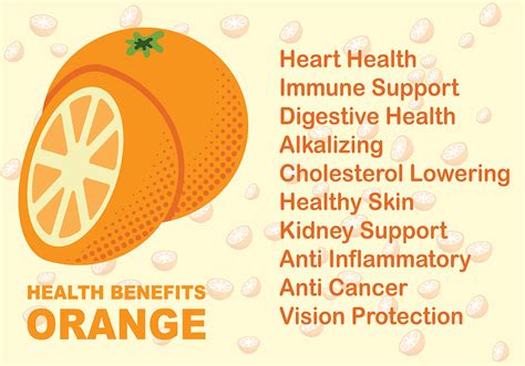 Orange Fruit Health Benefits Vector 156632 Vector Art at Vecteezy