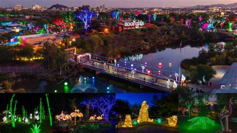 Here’s your guide to ‘ZooLights’ at the Phoenix Zoo