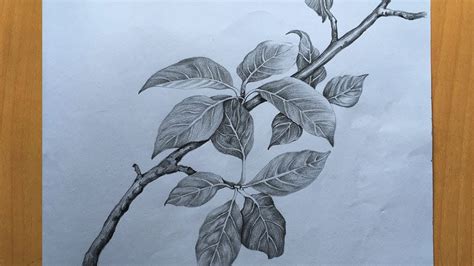 Share more than 77 pencil sketch leaf best - seven.edu.vn