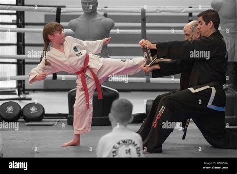 Taekwondo board break Stock Photo - Alamy