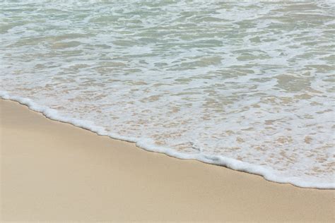 Sea Foam On White Beach Free Stock Photo - Public Domain Pictures