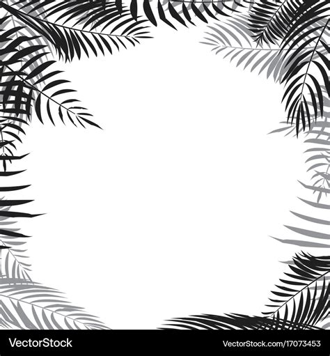 Palm leaf border Royalty Free Vector Image - VectorStock