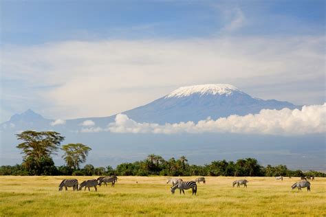 Tips for Climbing Mount Kilimanjaro, Africa's Highest Peak