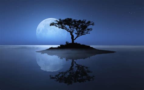 Moon and Tree Wallpapers - Top Free Moon and Tree Backgrounds ...