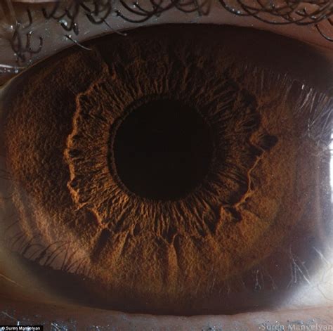 Pax on both houses: The Eyes Have It: The Human Iris Seen In Startling Detail