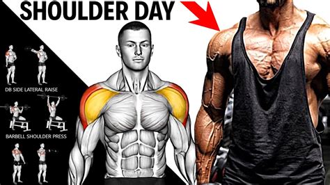 The Best Way to Build Your Shoulders and To Get as Strong as Possible - YouTube