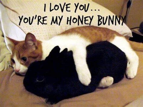 32 Love Memes That Are so Sweet You Can Literally Taste It