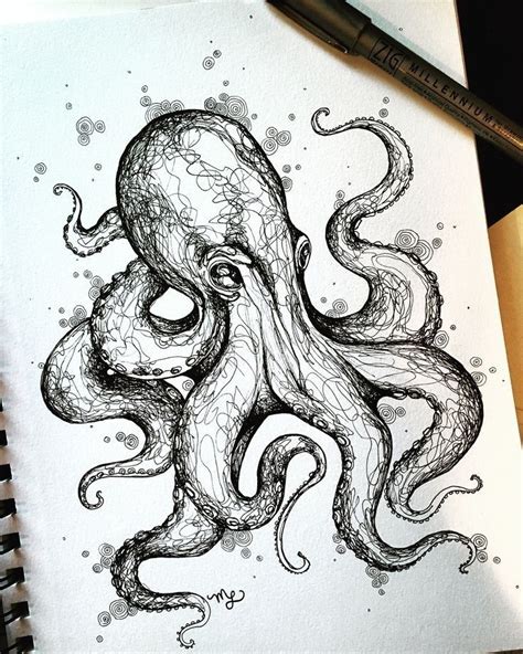 tattoo | Octopus sketch, Sketches, Octopus tattoo design