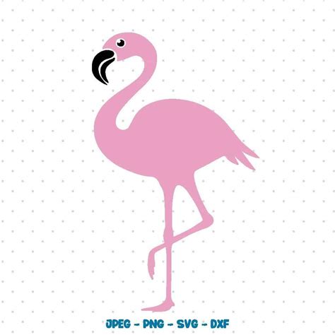 Flamingo SVG | Karimoos