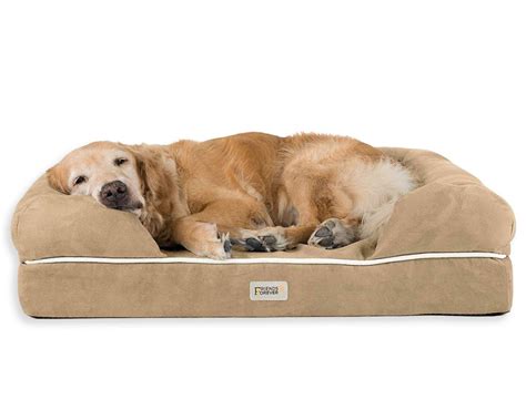 12 Best Orthopedic Dog Beds for Arthritis - Hey, Djangles.