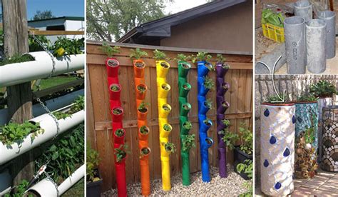 27 Diy Pvc Pipe Garden Ideas And Gardening Tips