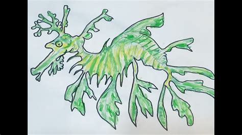 Weedy Sea Dragon Drawing