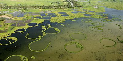 In & around Loktak Lake – Manipur Tourism