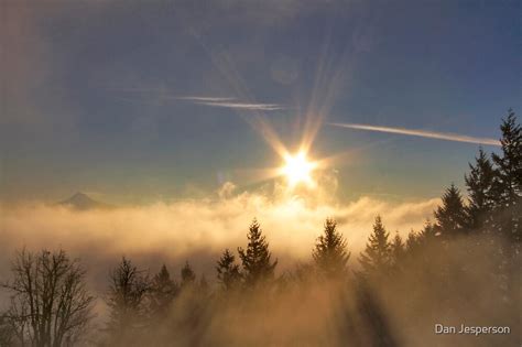 "Sunrise Over Foggy Forest" by Dan Jesperson | Redbubble