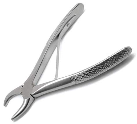 Best Dog Tartar Removal Tool, According To Vets