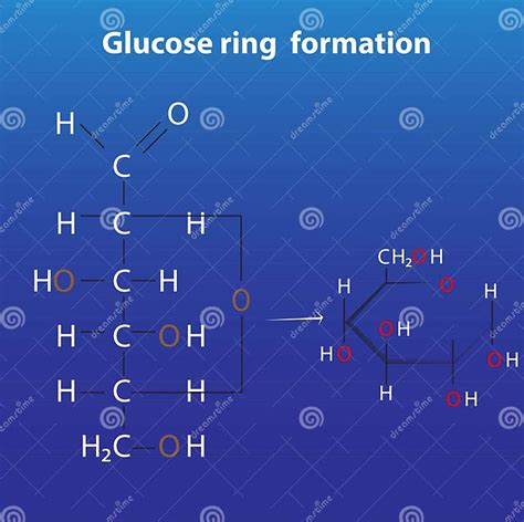 Glucose Ring Formation Anomers of Glucose Stock Vector - Illustration of medication, energy ...