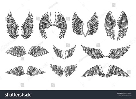 Set Vintage Retro Wings Vector Illustration Stock Vector (Royalty Free) 1839308398 | Shutterstock