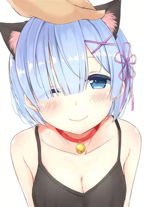 Waifu Gallery(Neko) | Anime Amino